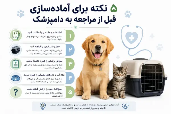 ۵ نکته برای آماده‌سازی قبل از مراجعه به دامپزشک